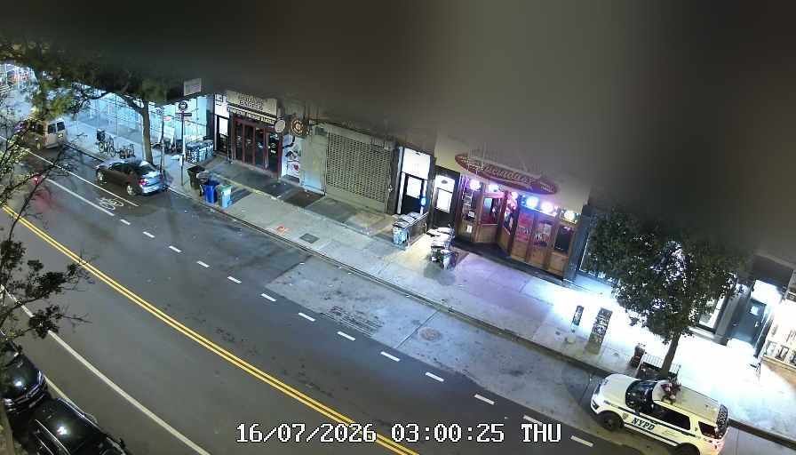 Lucinda's live line camera