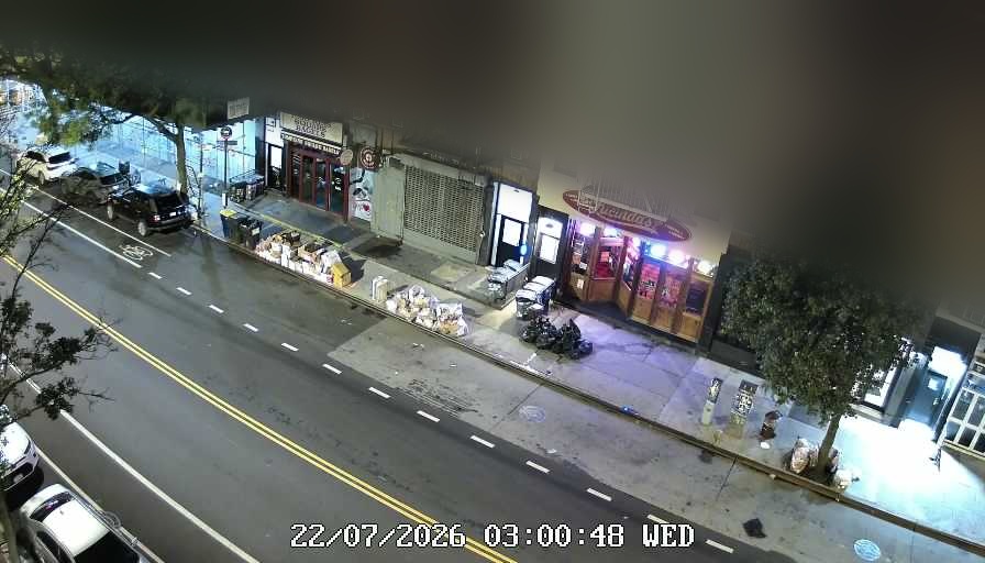 Lucinda's live line camera