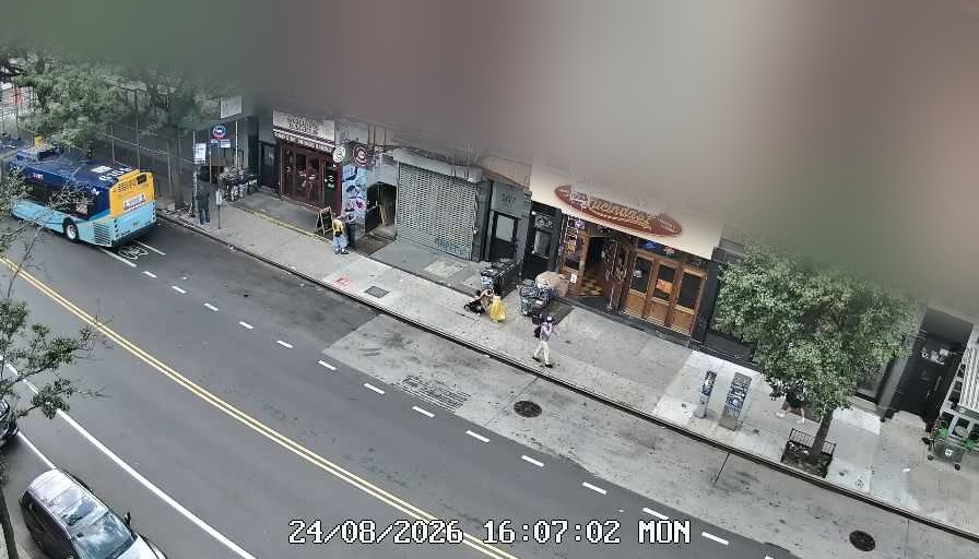 Lucinda's live line camera