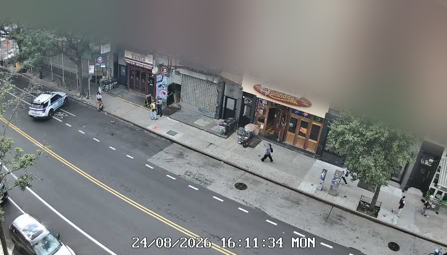 Lucinda's live line camera