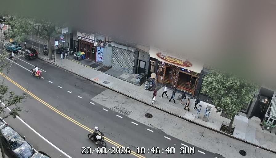 Lucinda's live line camera