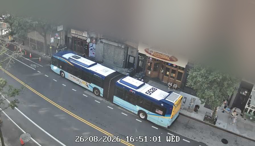 Lucinda's live line camera