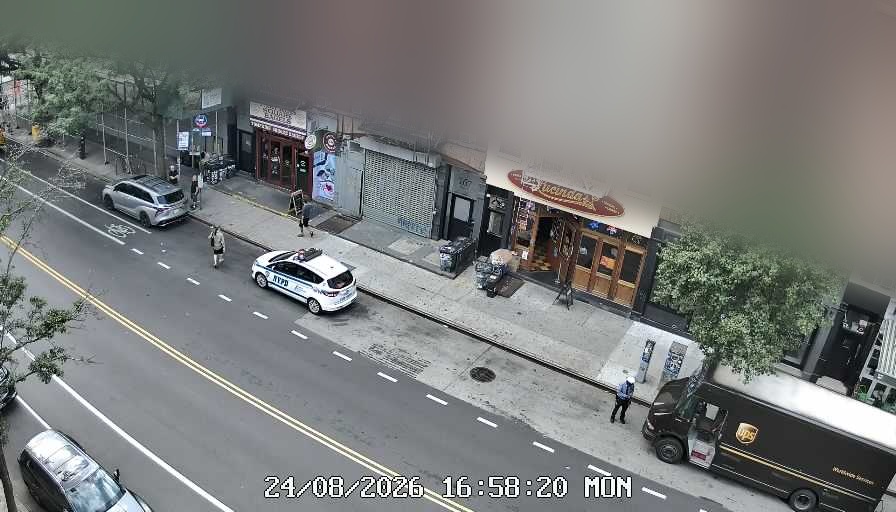 Lucinda's live line camera