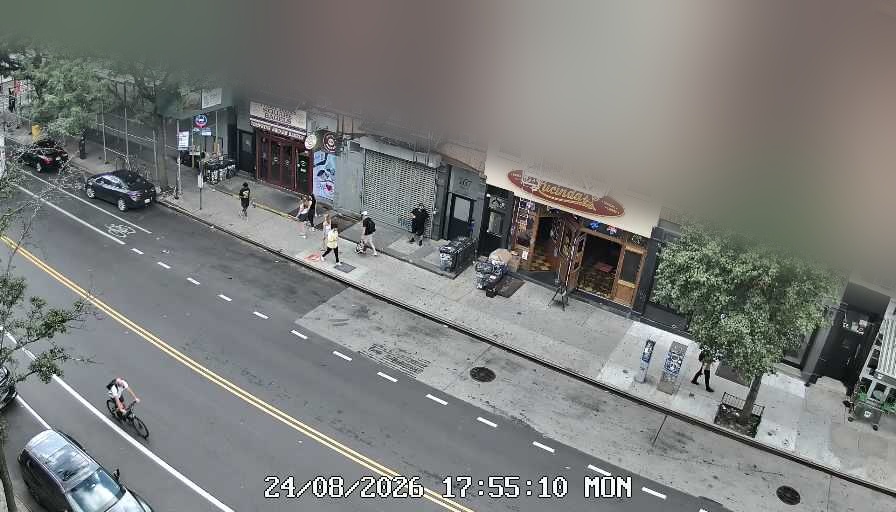 Lucinda's live line camera