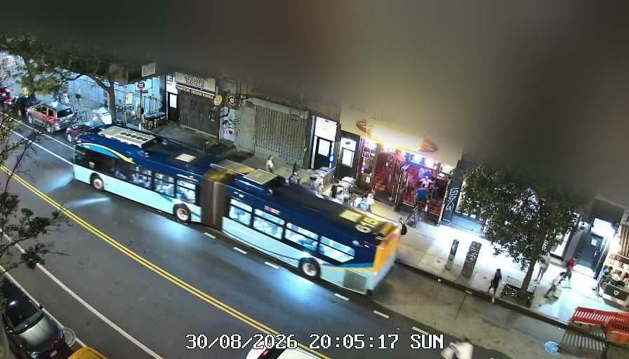 Lucinda's live line camera