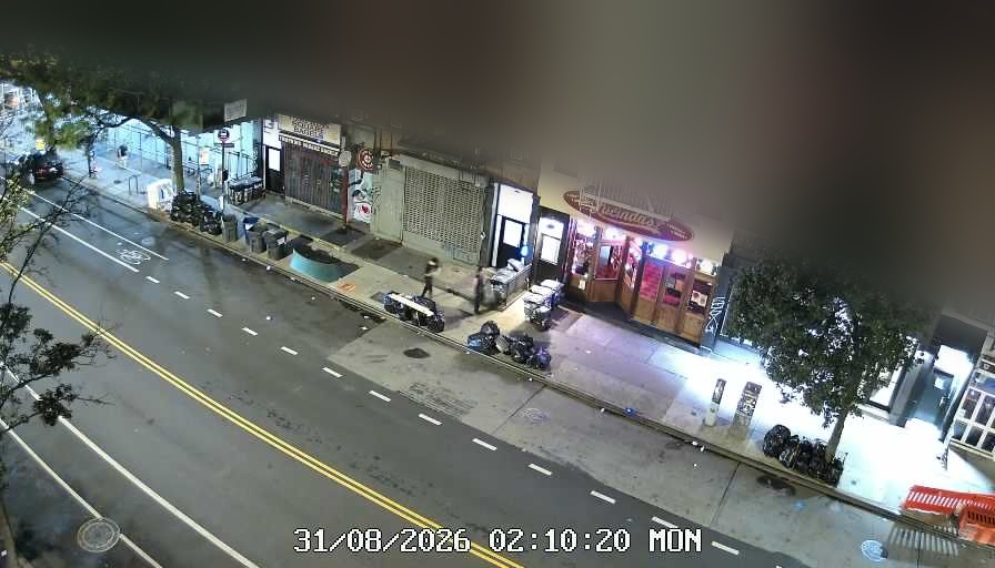 Lucinda's live line camera
