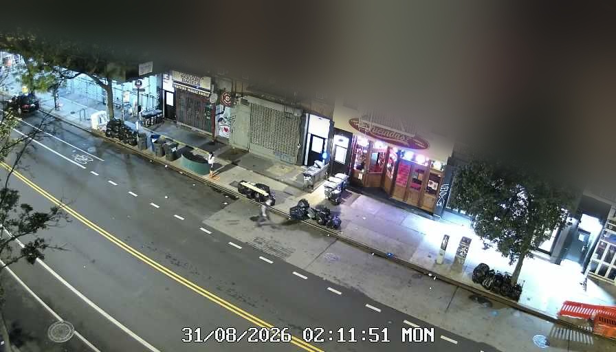 Lucinda's live line camera