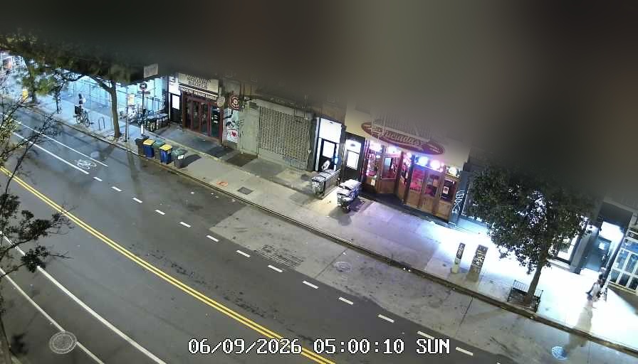 Lucinda's live line camera