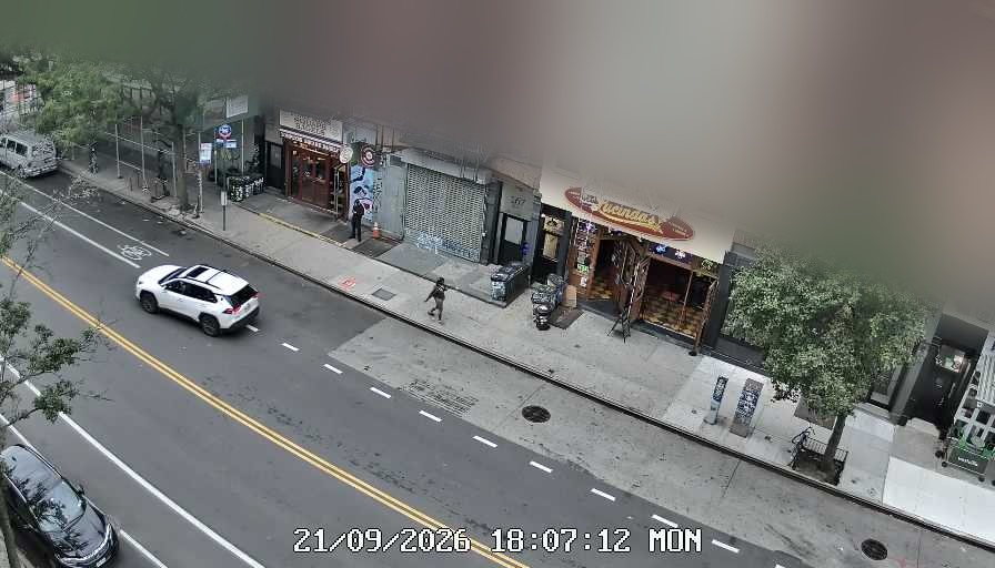Lucinda's live line camera