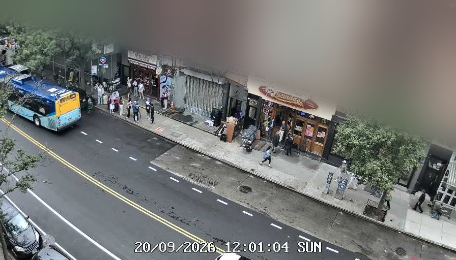 Lucinda's live line camera