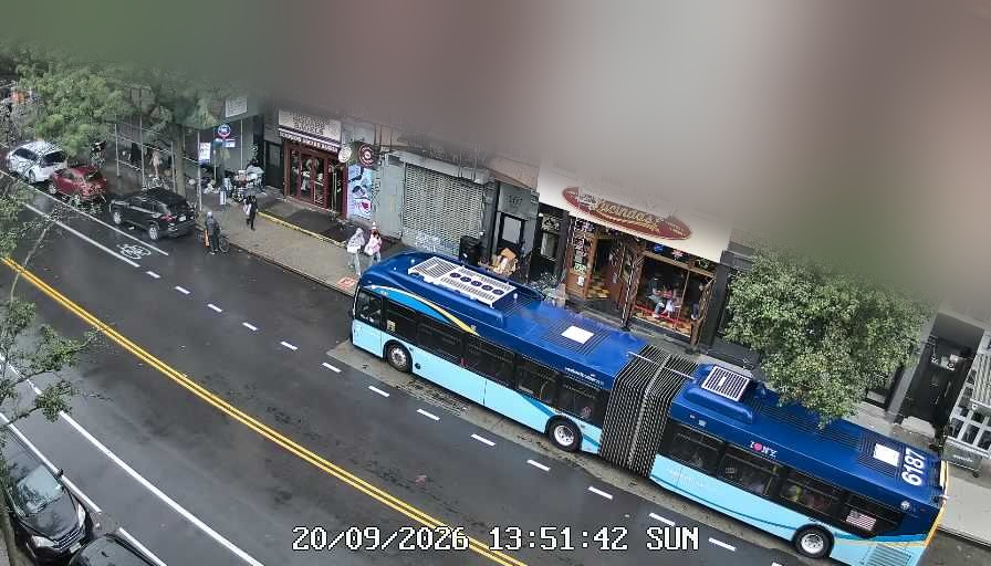 Lucinda's live line camera