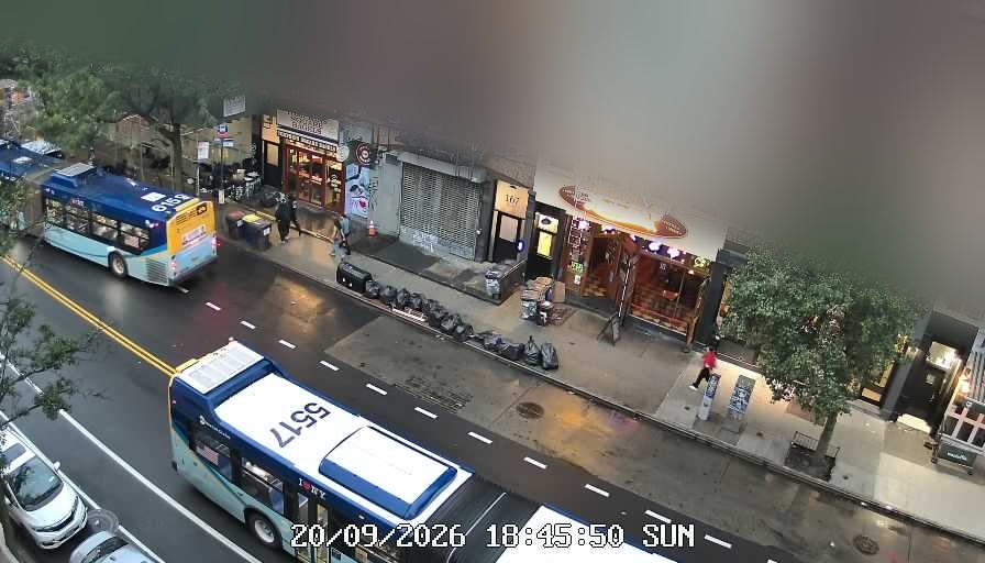 Lucinda's live line camera