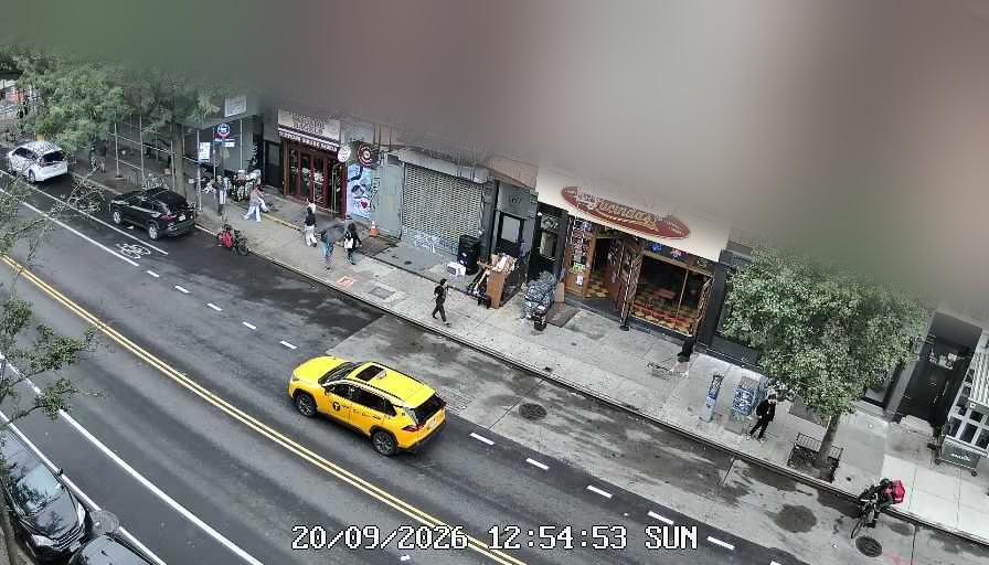 Lucinda's live line camera