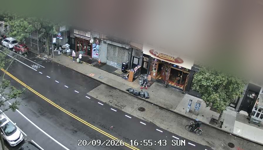 Lucinda's live line camera