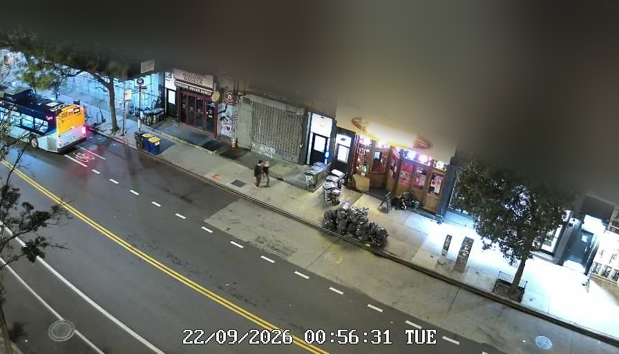 Lucinda's live line camera
