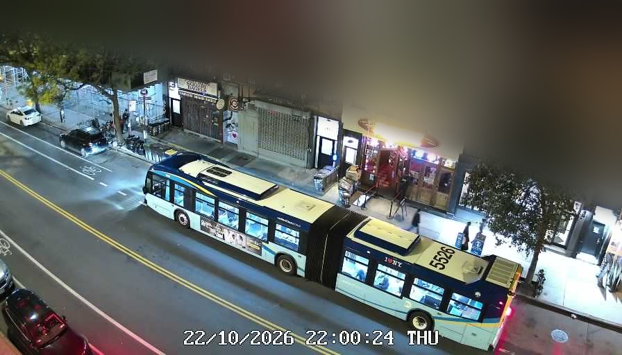 Lucinda's live line camera