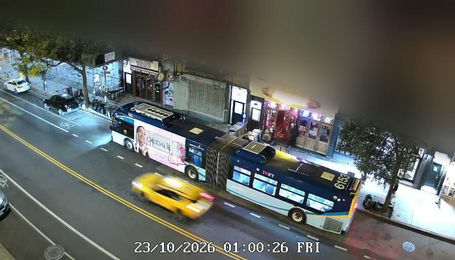 Lucinda's live line camera