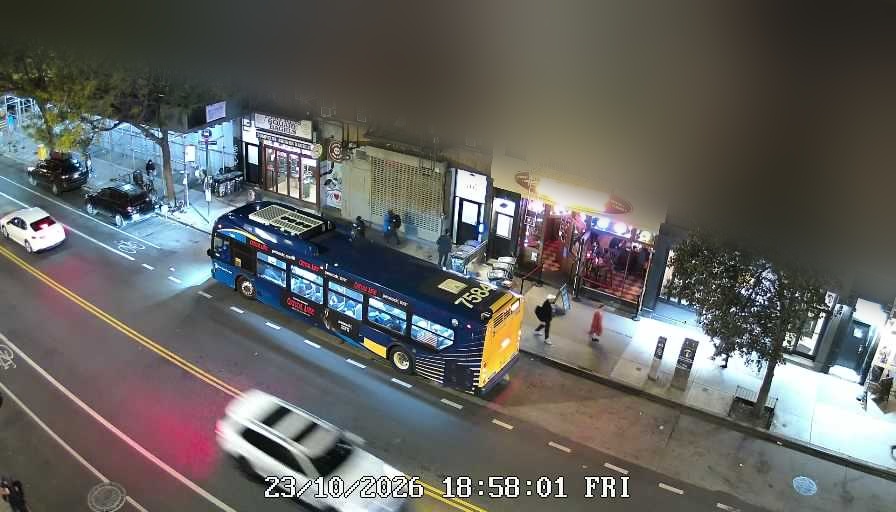 Lucinda's live line camera