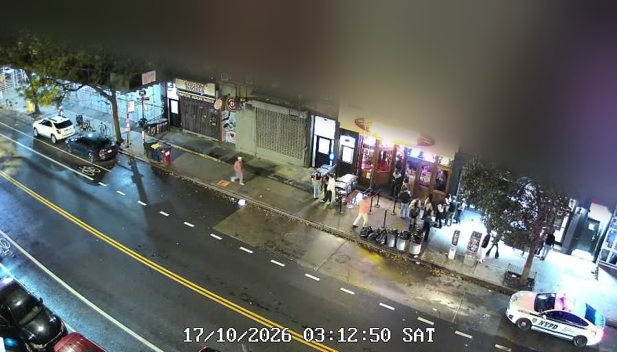 Lucinda's live line camera