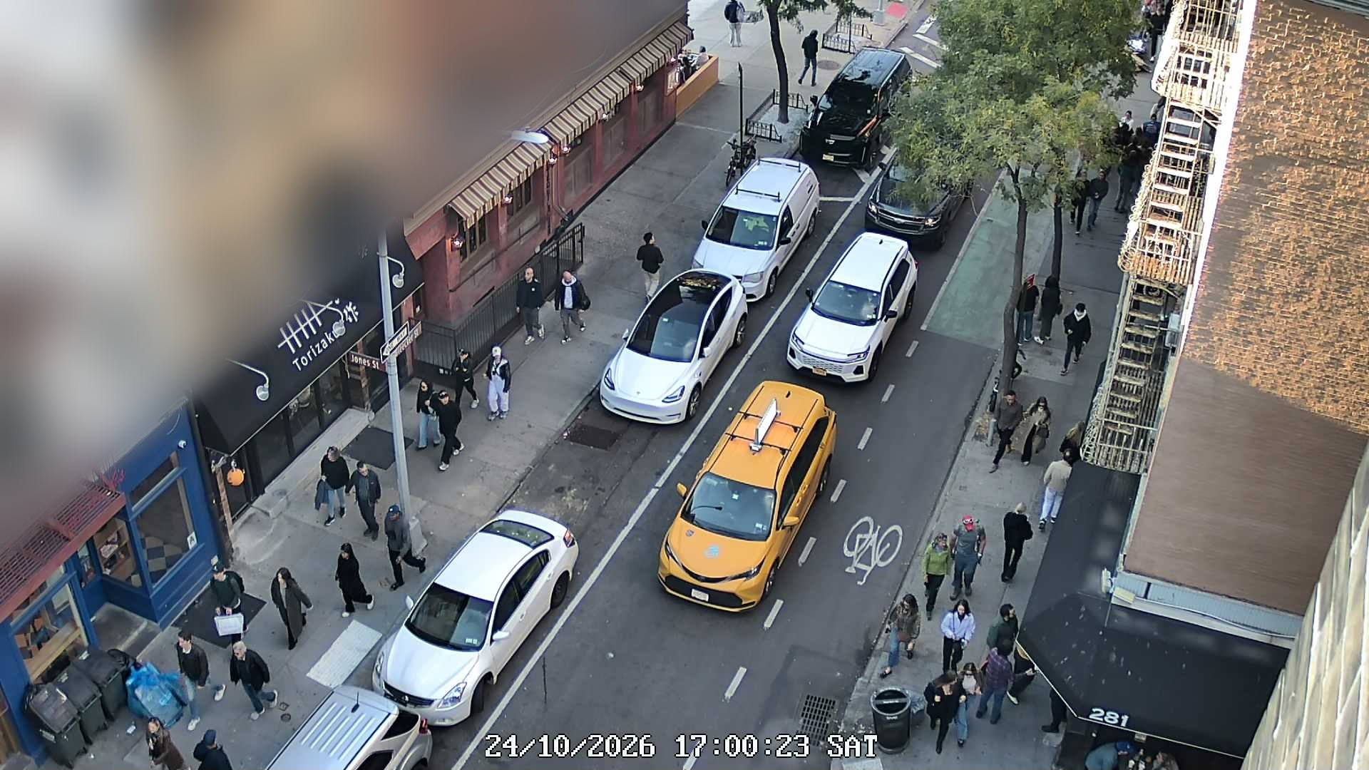 Salt Hank's live line camera