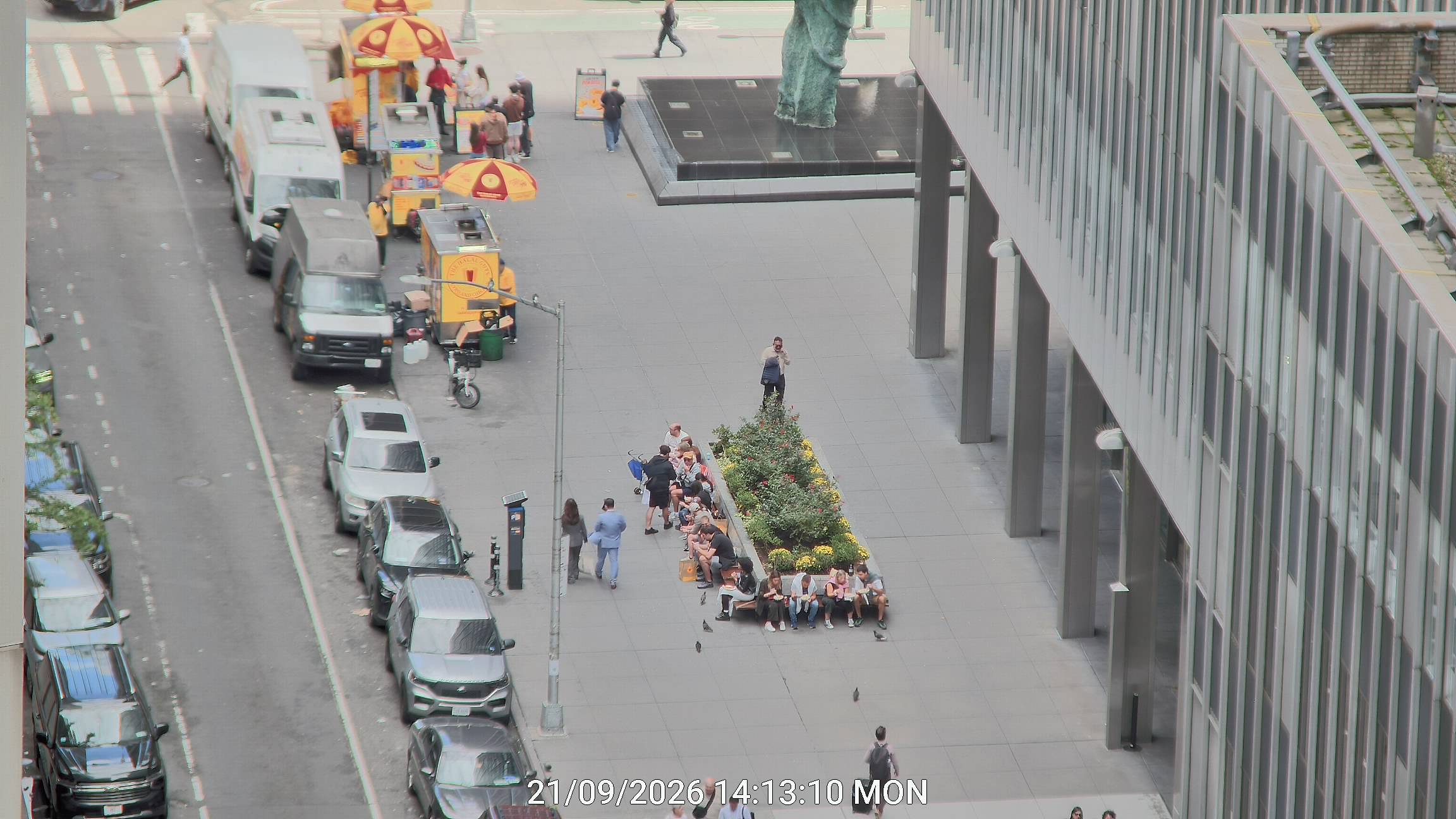 The Halal Guys live line camera