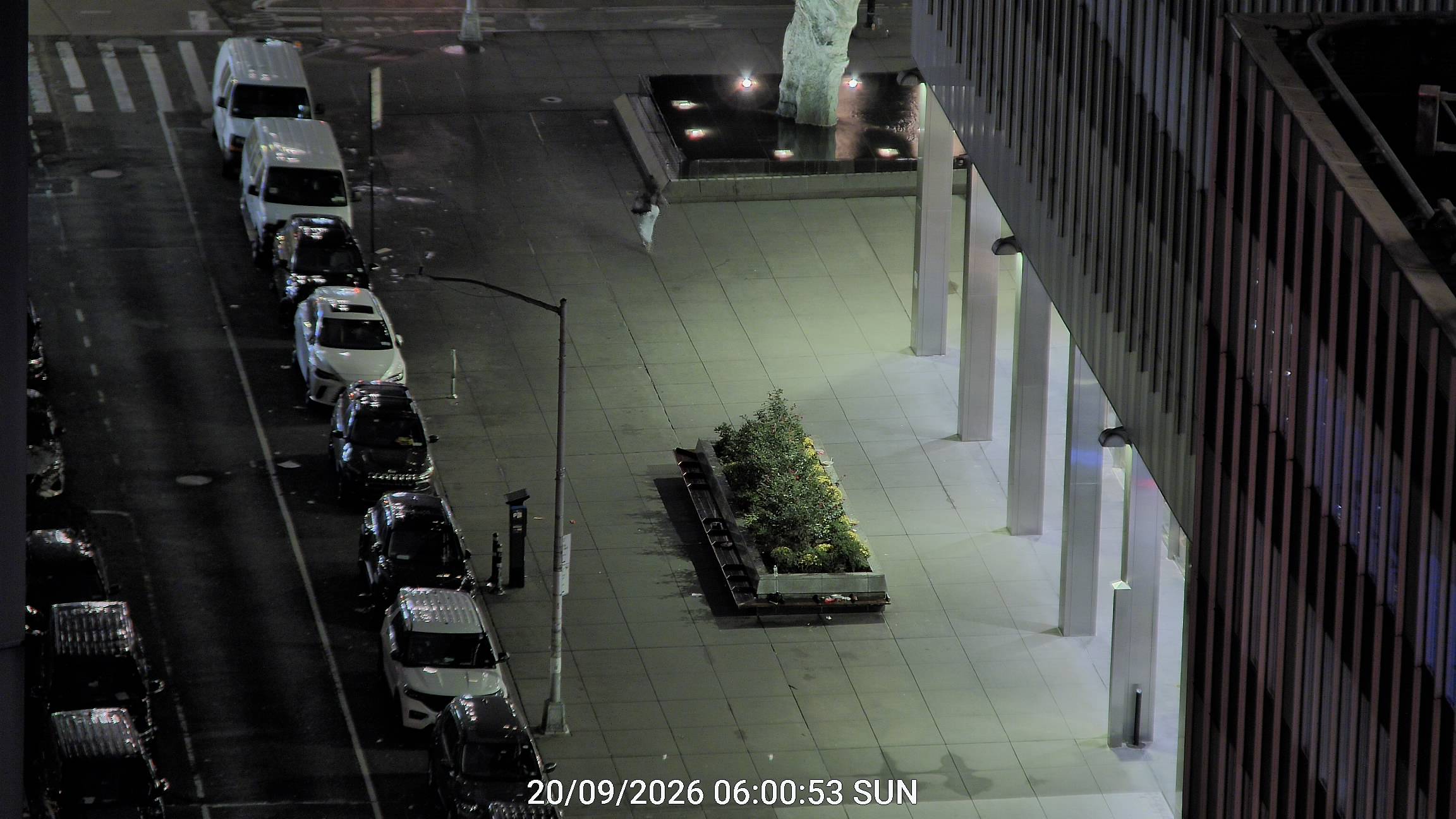The Halal Guys live line camera