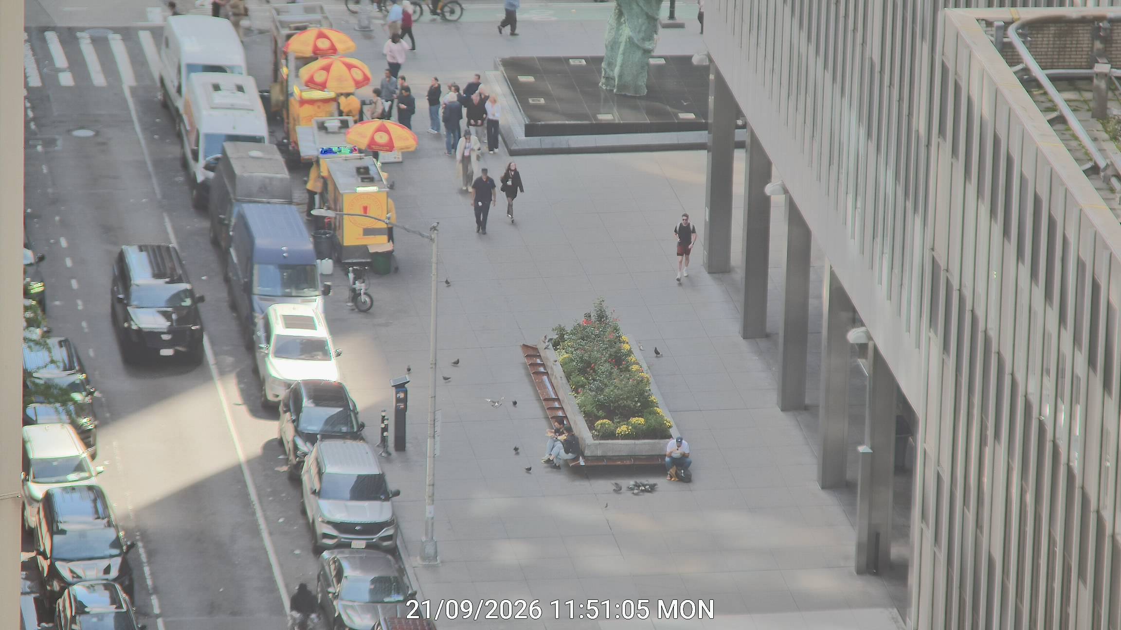 The Halal Guys live line camera