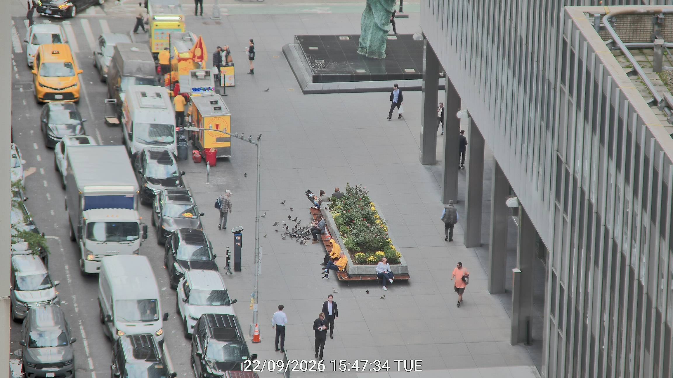 The Halal Guys live line camera