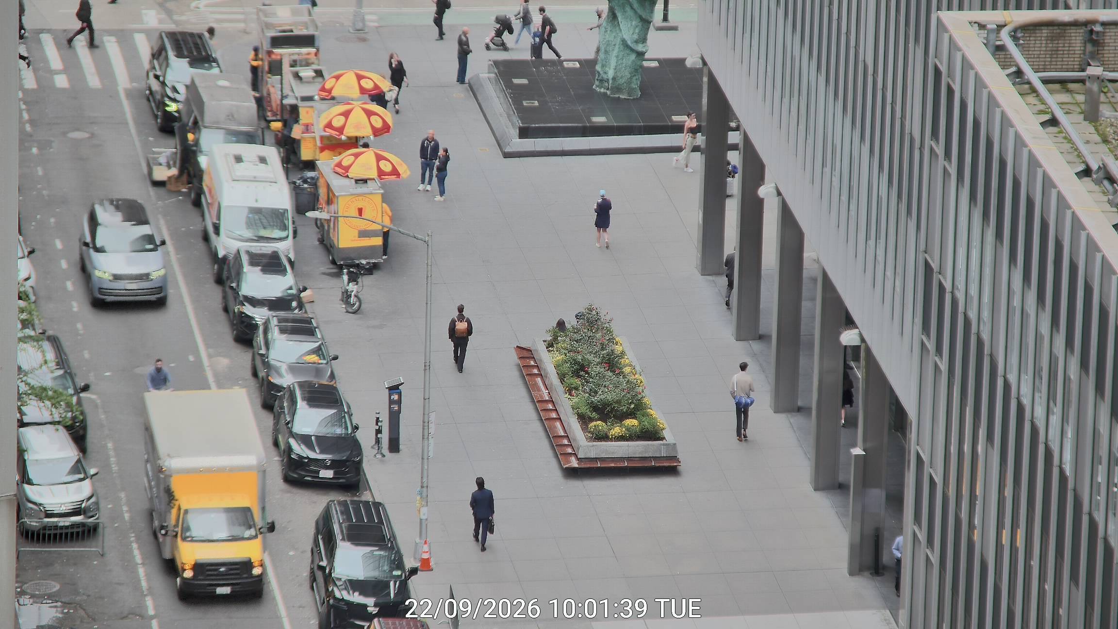 The Halal Guys live line camera