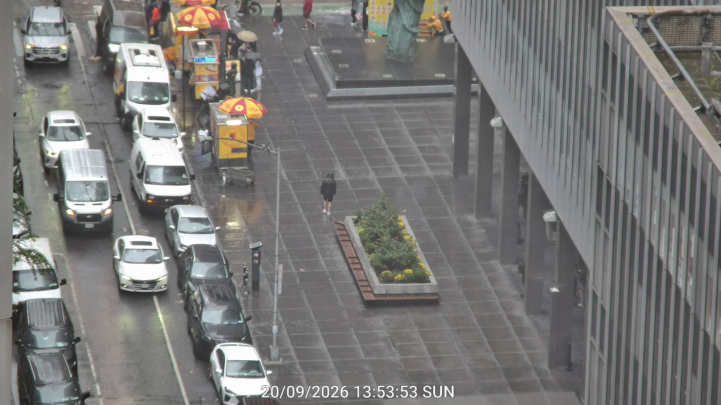 The Halal Guys live line camera