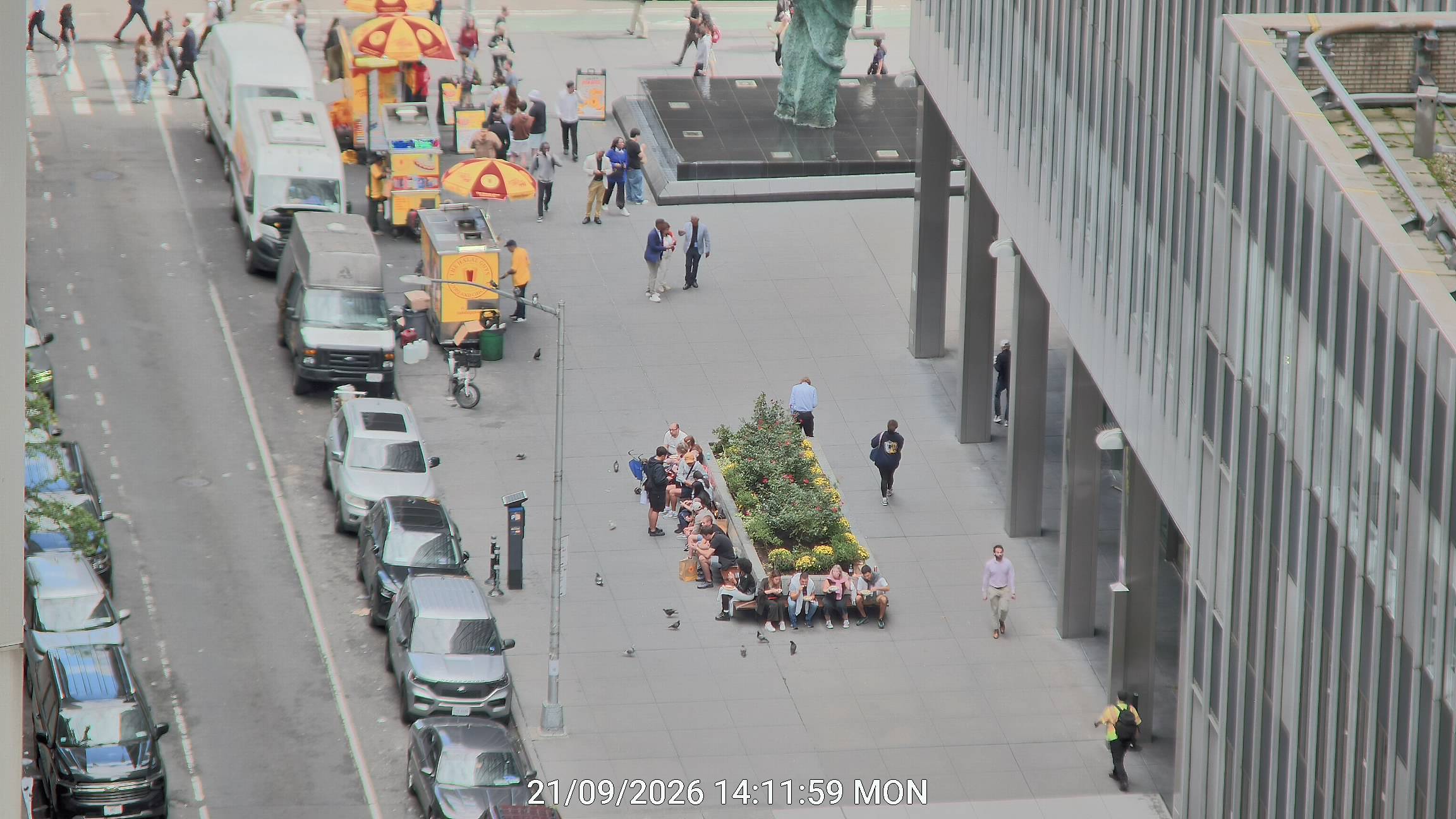 The Halal Guys live line camera