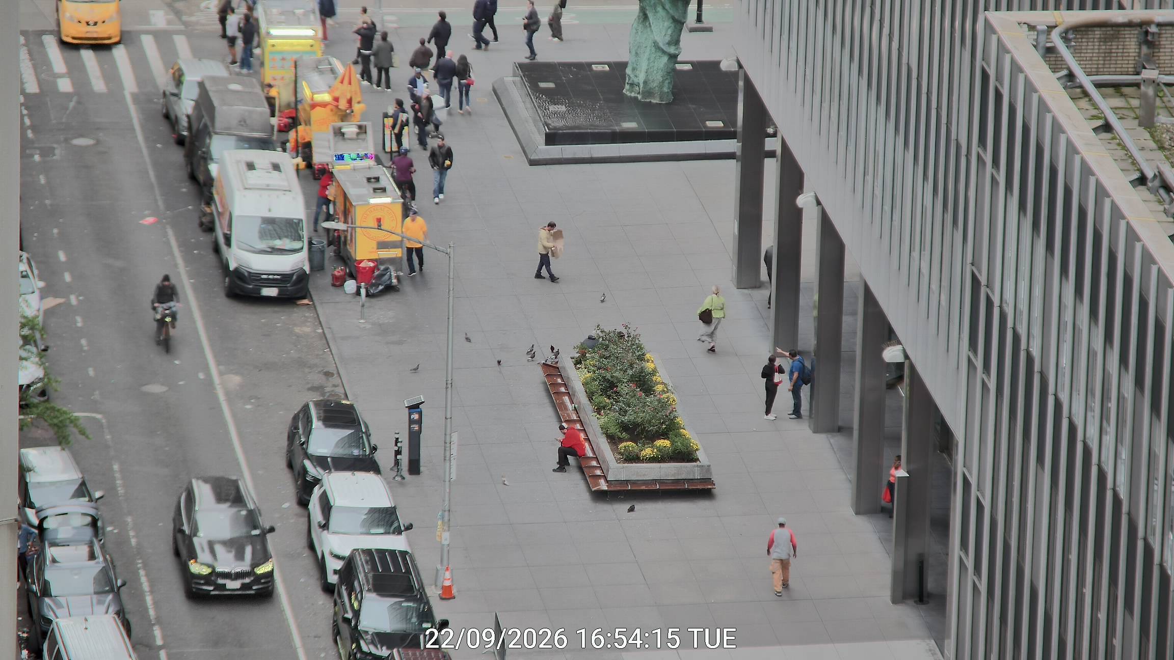 The Halal Guys live line camera