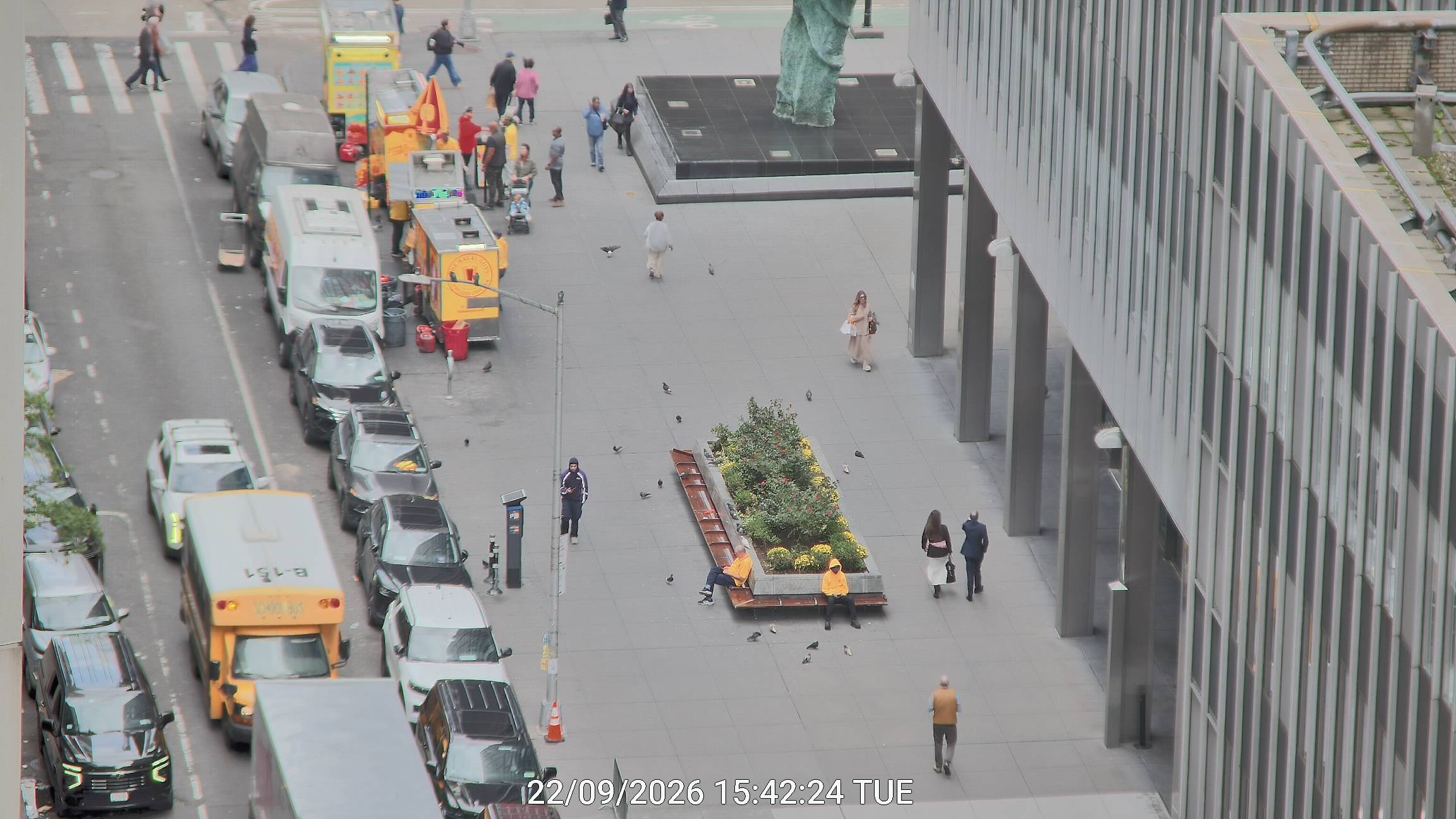 The Halal Guys wait time — live line camera