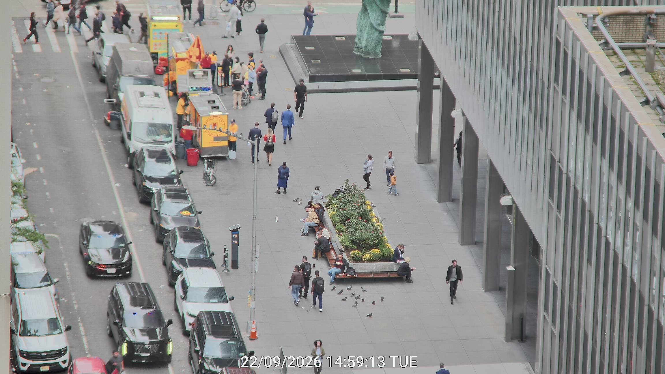 The Halal Guys live line camera