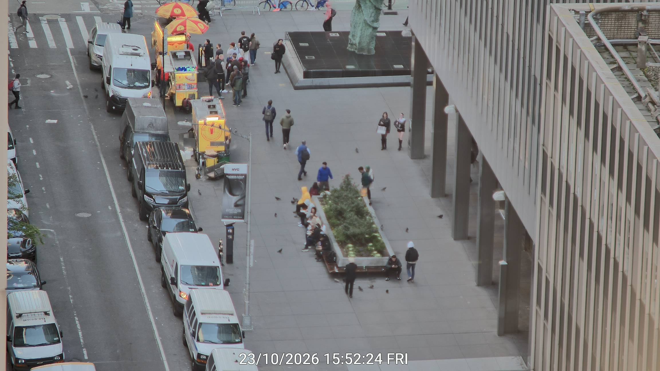 The Halal Guys live line camera