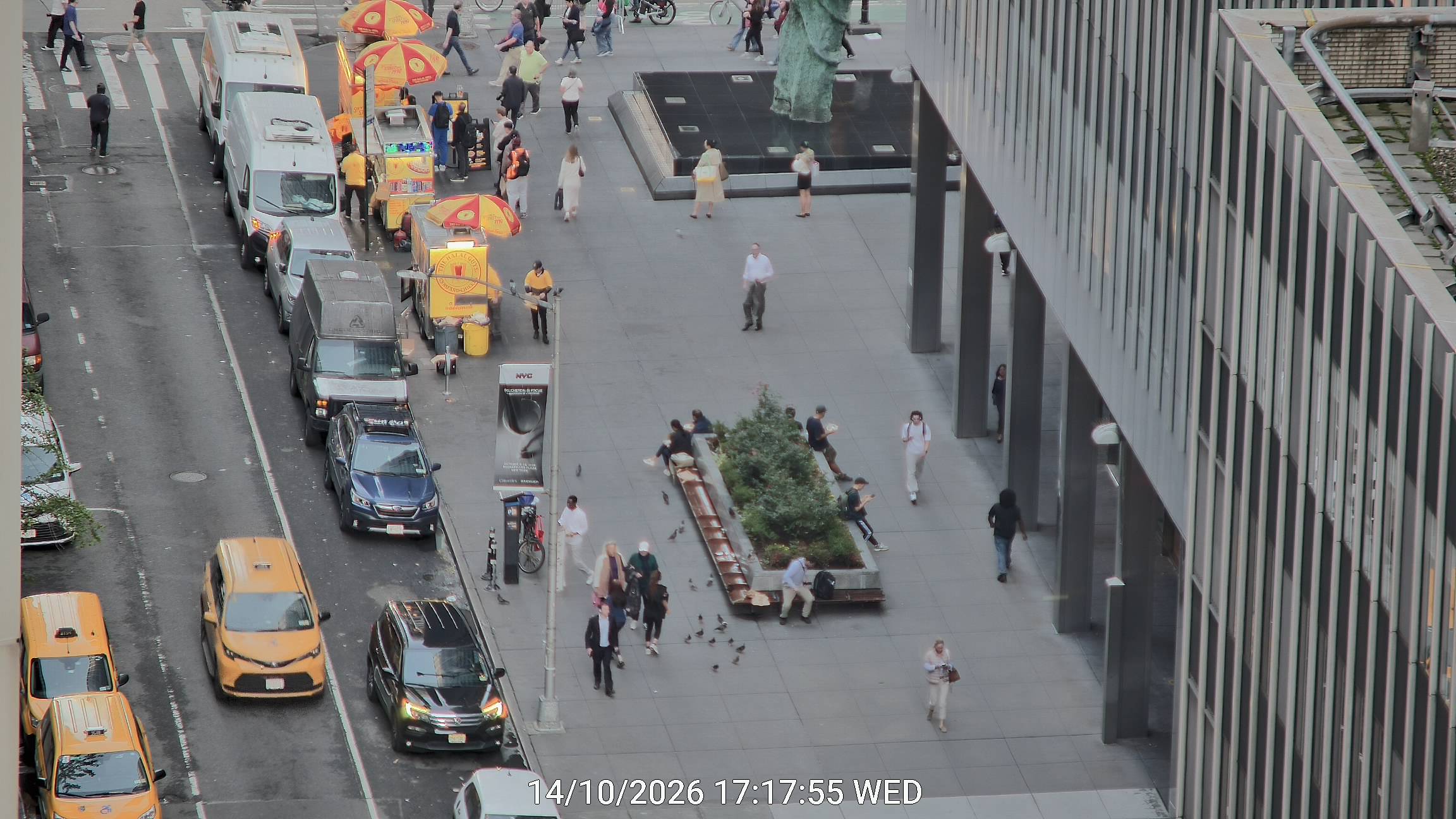 The Halal Guys live line camera